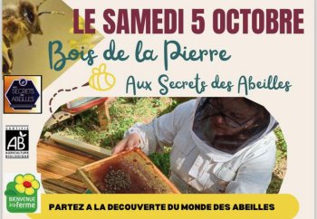 Abeilles